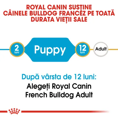 ROYAL CANIN susține câinele Bulldog Francez pe toată durata vieții sale. Puppy 2–12 luni. După vârsta de 12 luni: Alegeți Royal Canin French Bulldog Adult.