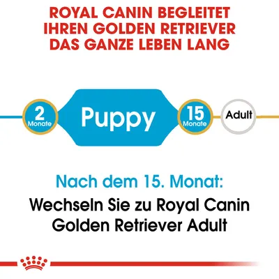 Royal Canin begleitet Golden Retriever das ganze Leben. Ab 2 Monate Puppy, ab 15 Monate Adult. Nach dem 15. Monat wechseln zu Royal Canin Golden Retriever Adult.