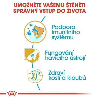 Podpora imunitního systému, fungování trávicího ústrojí, zdraví kostí a kloubů – hlavní benefity pro štěňata uvedené na obrázku.