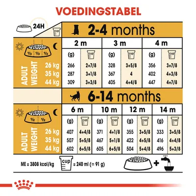 Voedingstabel voor honden: dagelijkse hoeveelheid voer in grammen en cups per leeftijd (2–14 maanden) en volwassen gewicht (26, 35, 44 kg). 1 cup = 240 ml (≈91 g), ME = 3808 kcal/kg.