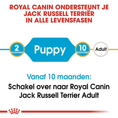 Royal Canin ondersteunt Jack Russell Terriër in alle levensfasen. Puppy: 2–10 maanden. Vanaf 10 maanden: schakel over naar Royal Canin Jack Russell Terriër Adult.