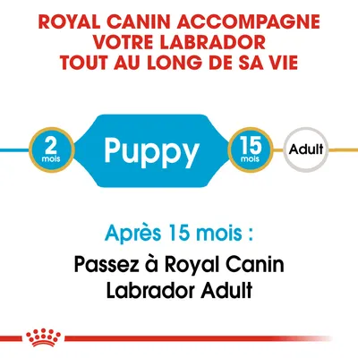 Royal Canin accompagne votre labrador tout au long de sa vie. Puppy 2–15 mois, puis passez à Royal Canin Labrador Adult après 15 mois.