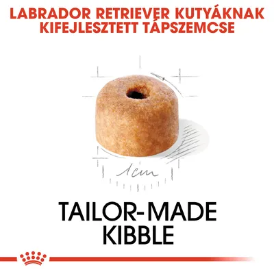 Labrador Retriever kutyáknak kifejlesztett tápszemcse, 1 cm átmérővel. Tailor-made kibble felirat látható.