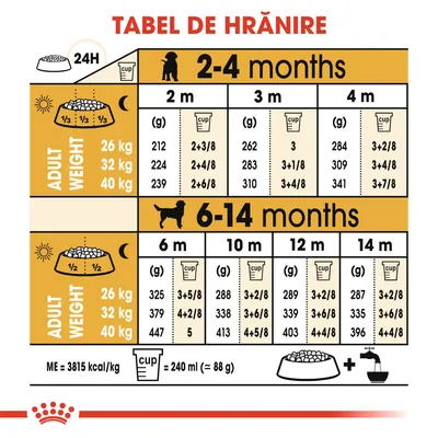 Tabel de hrănire pentru câini: cantități zilnice recomandate în grame și căni, în funcție de vârstă (2–14 luni) și greutatea adultului (26, 32, 40 kg). 1 cană = 240 ml ≈ 88 g.