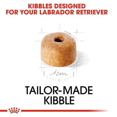 KIBBLES DESIGNED FOR YOUR LABRADOR RETRIEVER, TAILOR-MADE KIBBLE, 1 cm. Το κείμενο είναι στα αγγλικά.
