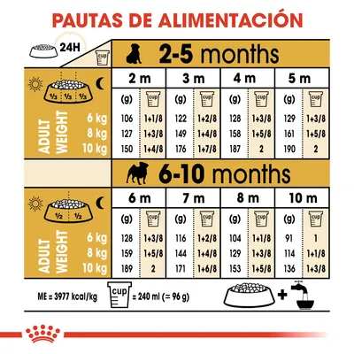 Tabla de pautas de alimentación para cachorros según edad (2–10 meses) y peso adulto (6, 8, 10 kg), con cantidades diarias en gramos y tazas. 1 taza = 240 ml (≈96 g).