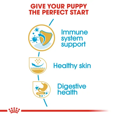 Teksti englanniksi: Give your puppy the perfect start. Immune system support, Healthy skin, Digestive health.