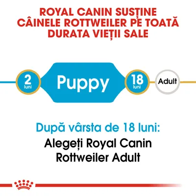ROYAL CANIN susține câinele Rottweiler pe toată durata vieții sale. Puppy 2 luni–18 luni. După vârsta de 18 luni: Alegeți Royal Canin Rottweiler Adult.