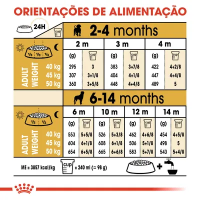 Tabela de orientações de alimentação para cães de 40, 45 e 50 kg dos 2 aos 14 meses, com doses diárias em gramas e chávenas. 1 chávena = 240 ml (≈98 g). ME = 3857 kcal/kg.