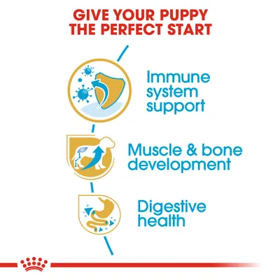 Teksti englanniksi: Give your puppy the perfect start. Immune system support, muscle & bone development, digestive health. Kolme kuvaketta tukemassa väitteitä.