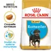 Royal Canin Rottweiler Puppy pour chiot