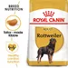 Royal Canin Rottweiler Adult
