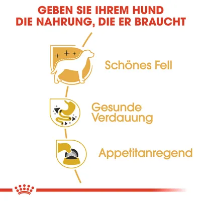 Grafik mit Text: 'Geben Sie Ihrem Hund die Nahrung, die er braucht'. Vorteile: Schönes Fell, Gesunde Verdauung, Appetitanregend. Royal Canin Logo unten.