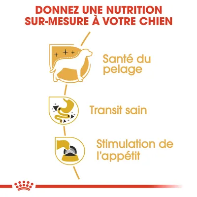 Donnez une nutrition sur-mesure à votre chien : Santé du pelage, Transit sain, Stimulation de l’appétit. Texte en français belge visible dans l’image.