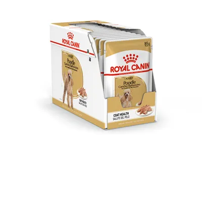 Embalagem de saquetas Royal Canin Adult Poodle 85 g, com imagem de cão e texto visível: Coat Health, Salute del Pelo. Vários pacotes apresentados numa caixa expositora.