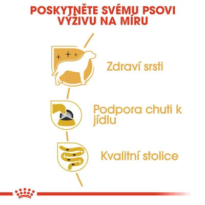Text: Poskytněte svému psovi výživu na míru. Ikony a popisky: Zdraví srsti, Podpora chuti k jídlu, Kvalitní stolice.