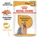 Royal Canin Yorkshire Terrier Adult Mousse