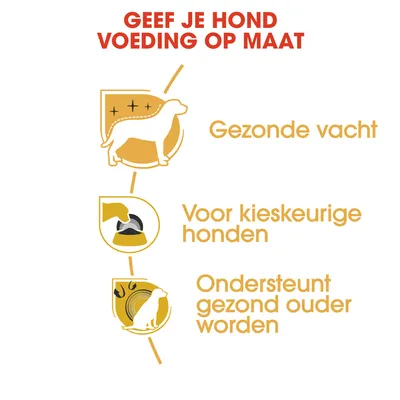 Tekst: Geef je hond voeding op maat. Gezonde vacht. Voor kieskeurige honden. Ondersteunt gezond ouder worden.
