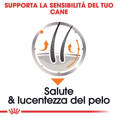 Testo: Supporta la sensibilità del tuo cane. Salute & lucentezza del pelo. Grafica stilizzata di peli con frecce arancioni.