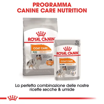 Royal Canin Coat Care Mini crocchette e bustina umido All Sizes, programma Canine Care Nutrition. Testo: La perfetta combinazione delle nostre ricette secche & umide.