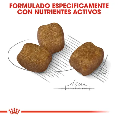 Tres croquetas marrones, texto: 'Formulado específicamente con nutrientes activos', escala de 1 cm para referencia de tamaño.