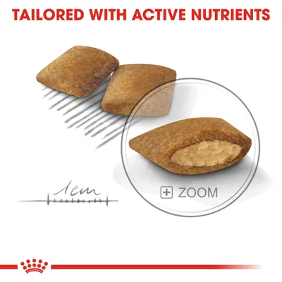Kibble pieces with a visible soft centre, labelled as tailored with active nutrients. Includes a 1cm scale for size reference and a magnified view of the kibble’s interior.