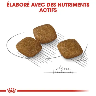 Croquettes carrées, environ 1 cm, texte visible : « Élaboré avec des nutriments actifs » en haut de l’image.