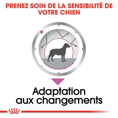 Texte : Prenez soin de la sensibilité de votre chien. Adaptation aux changements. Illustration d’un chien entouré de flèches dans un cercle.