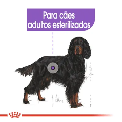 Para cães adultos esterilizados