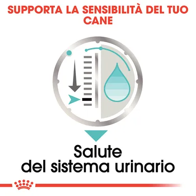 Supporta la sensibilità del tuo cane. Salute del sistema urinario.