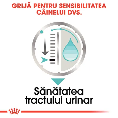 Grijă pentru sensibilitatea câinelui dvs. Sănătatea tractului urinar.