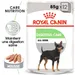 Royal Canin Digestive Care en mousse pour chien