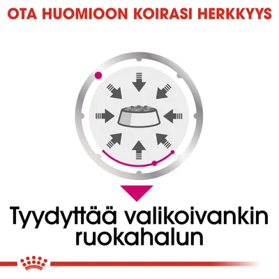 Ota huomioon koirasi herkkyys. Tyydyttää valikoivankin ruokahalun. Kuvassa koiranruokakuppi ja nuolia osoittamassa siihen.