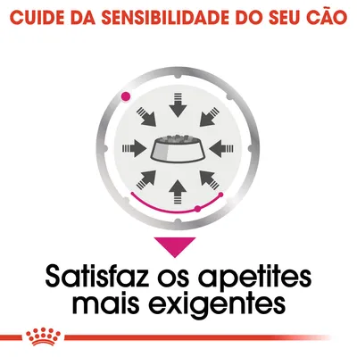 Cuide da sensibilidade do seu cão. Satisfaz os apetites mais exigentes.