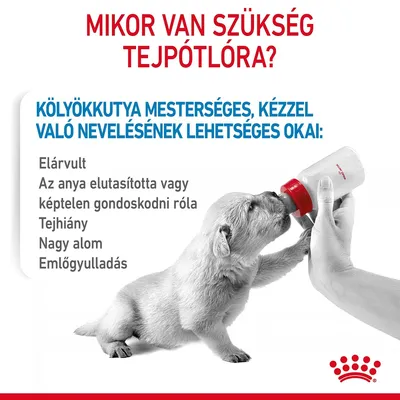 Mikor van szükség tejpótlóra? Kölyökkutya mesterséges, kézzel való nevelésének lehetséges okai: elárvult, anya elutasította, tejhiány, nagy alom, emlőgyulladás.