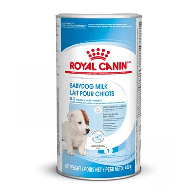 ROYAL CANIN BABYDOG MILK, Lait pour chiots 0–2 months, náhradní mléko pro štěňata, balení 400 g. Viditelný text v angličtině a francouzštině.