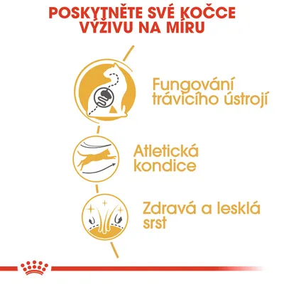 Poskytněte své kočce výživu na míru. Fungování trávicího ústrojí, atletická kondice, zdravá a lesklá srst.
