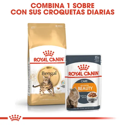 ROYAL CANIN Bengal Adult y ROYAL CANIN Intense Beauty Care. Texto: Combina 1 sobre con sus croquetas diarias.