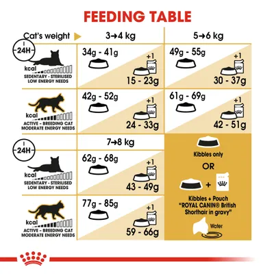 Feeding table showing daily kibble amounts for cats by weight and activity level, with separate values for sedentary and active cats, plus mixed feeding guidance with pouch and water.