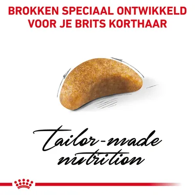 Brokken speciaal ontwikkeld voor je Brits Korthaar. Tekst: tailor-made nutrition.