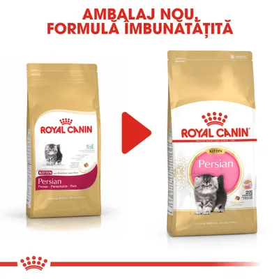 Royal Canin Kitten Persian – imagine cu vechiul și noul ambalaj, text vizibil: Ambalaj nou, formulă îmbunătățită.