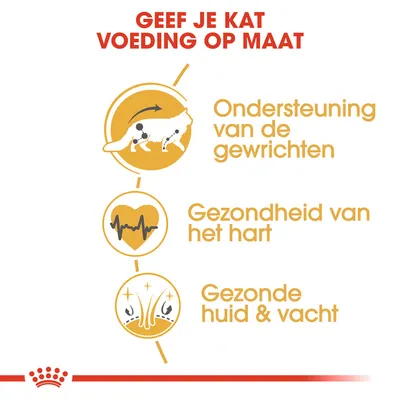 Geef je kat voeding op maat: ondersteuning van de gewrichten, gezondheid van het hart, gezonde huid & vacht. Tekst en pictogrammen benadrukken deze drie voordelen.
