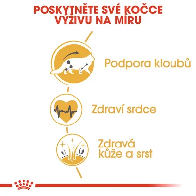 Poskytněte své kočce výživu na míru: podpora kloubů, zdraví srdce, zdravá kůže a srst.