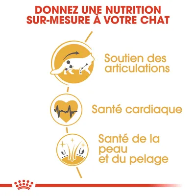 Texte : Donnez une nutrition sur-mesure à votre chat. Soutien des articulations, santé cardiaque, santé de la peau et du pelage. Illustrations associées à chaque bénéfice.