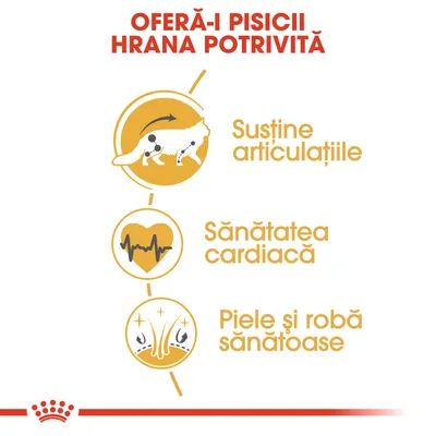 OFERĂ-I PISICII HRANA POTRIVITĂ. Susține articulațiile. Sănătatea cardiacă. Piele și robă sănătoase.