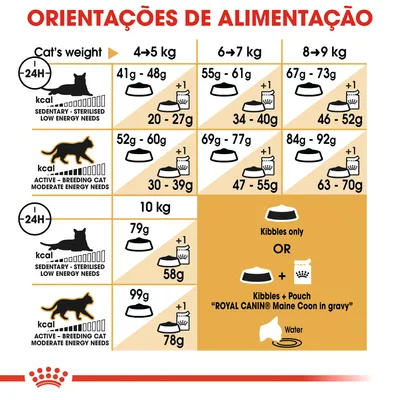 Tabela de orientações de alimentação para gatos Royal Canin Maine Coon, com doses diárias em gramas para diferentes pesos e níveis de atividade, incluindo opção de ração seca ou combinada com saqueta.