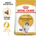 Royal Canin Norwegian Forest Cat Adult
