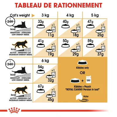 Tableau de rationnement pour chats stérilisés et actifs, poids 3–6 kg : croquettes seules ou croquettes + sachet Royal Canin Persian in loaf, quantités en grammes selon le poids du chat.