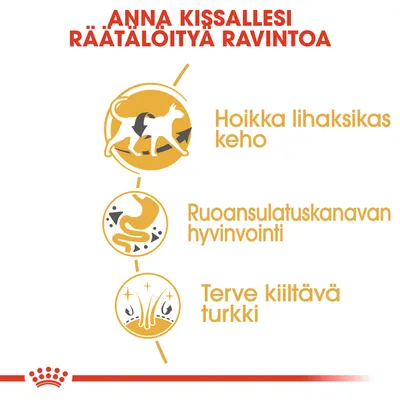 Anna kissallesi räätälöityä ravintoa. Hoikka lihaksikas keho, ruoansulatuskanavan hyvinvointi, terve kiiltävä turkki.