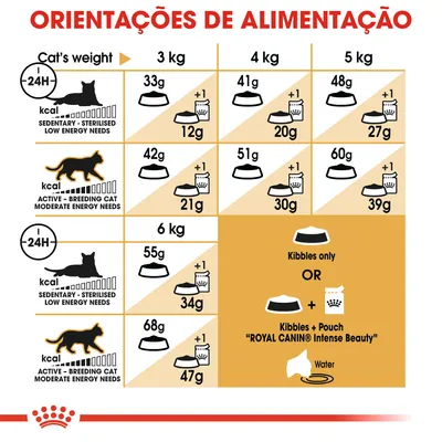 Tabela de orientações de alimentação para gatos Royal Canin, com doses diárias em gramas para gatos sedentários e ativos de 3 a 6 kg, opções só ração ou ração mais saqueta Intense Beauty.
